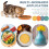 HKUKY cat feeding bowl round 4-color set 3
