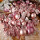 Boules de Noël à paillettes - 72 pièces 6