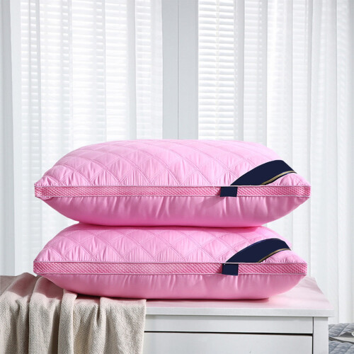 Μαξιλάρια Queen Size για Κρεβάτια Soft Luxury 20x30 ίντσες 2