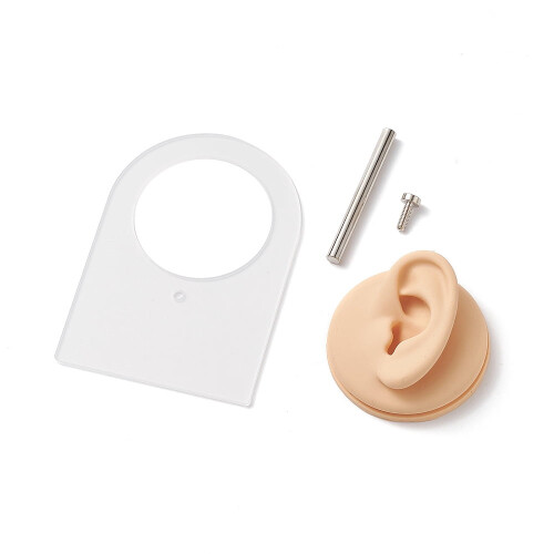 Silicone Ear Model with Acrylic Stand Peach Puff 1 pc 2