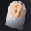 Silicone Ear Model with Acrylic Stand Peach Puff 1 pc 5