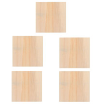 Unfinished Wood Panel Boards for DIY Photo Frames 5 pcs