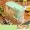 Lemonade refrigerator 4L large capacity for families and 7