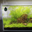 Termómetro digital para acuario LCD negro de alta precisión 4