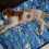 (2XL 100*150CM) Thickened Large Dog Ice Cooling Mat For Pets 1