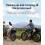 Elcykel ENGWE E26 48 V, 16 Ah, 140 km,  Original, E26-ENGWESTC 4