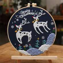 Christmas embroidery kit for adults and beginners with all
