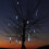 144 LED Solar Meteor Shower String Light Tree Light/100 LED String Light Christmas 10