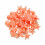 Glowing Ocean Conch Shell Stones for Aquarium Landscaping 2