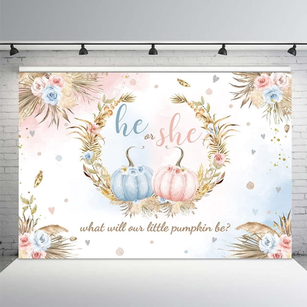 Pumpkin Gender Reveal Backdrop 7X5 Ft Autumn Boho 9336866942644