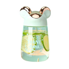 Hesroicy vattenflaska transparent 400ml