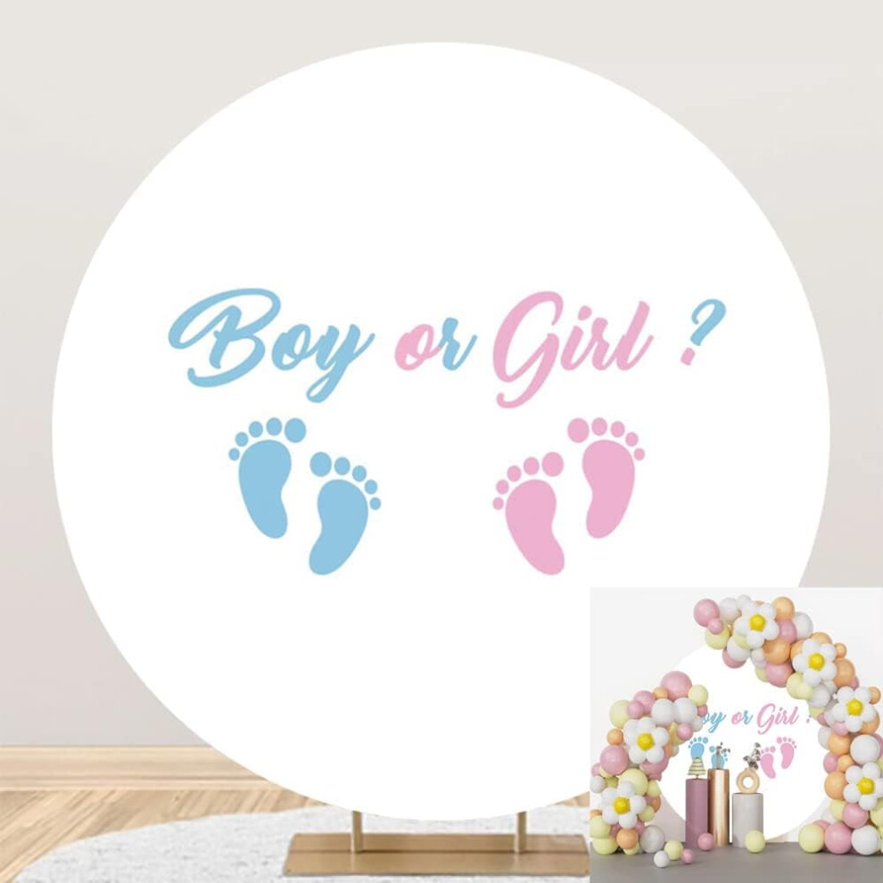Photography Backdrop Round 5X5 Ft Blue/Pink 9336866941319