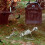 Life-Size Posable Halloween Skeleton Prop with Anatomy 4