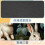 Rabbit Leaf Mouse Pad Anti-Slip Rubber Base 1 Pack 4