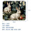 Rabbit Leaf Mouse Pad Anti-Slip Rubber Base 1 Pack 5