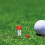 Golf Ball Holder with Adjustable Tee and Phone Mount 2 Pcs 6