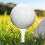 Golf tees wooden replaceable spikes 20 pcs 3