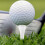 Golf tees wooden replaceable spikes 20 pcs 6