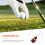 Tee Holder for Golfers 3 Sets 5