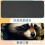 Flower Mouse Pad Smooth Non-Slip 8.3x9.8 inches 4