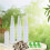 Grow Baskets, Hydroponic Seed  Pods Baskets Replacement Compatible Hydroponic Growing System 8