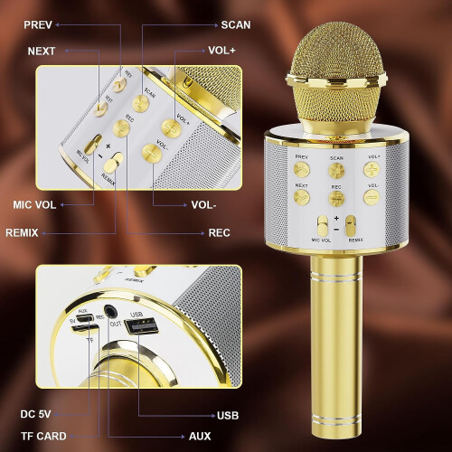 Wireless Bluetooth Karaoke Microphone 2 Pack 2