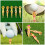 Golf tees colored plastic 6 pcs 6