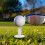 Reusable Golf Tees Flexible Ball Stands 12 Pcs 4