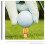 Golf tees colored plastic 6 pcs 5