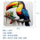 Toucan Pattern Mouse Pad Anti-Slip Rubber Base 5