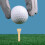 Golf Pins Bamboo Ball Stands 50 Pcs 2