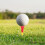 Plastic Golf Tees Ball Holders 15 pcs 2