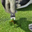 Golf Turf Repair Tool Stainless Steel Divot Fork 4