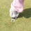Golf Turf Repair Tool Stainless Steel Divot Fork 5