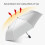 Titanium Silver Windproof Folding Umbrella 10K 4