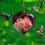 Hummingbird glass feeder hand blown 1 piece 6