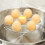 Stainless Steel Egg Steamer Rack for Instant Pot and 4
