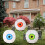 Halloween Eyeball Balloon Set Realistic Waterproof 12pc 3