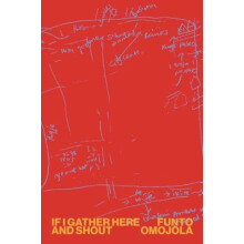 If I Gather Here and Shout by Funto Omojola Paperback Book