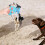 Kitten Interactive Toy Flying Disc 1 Set 2