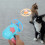 Kitten Interactive Toy Flying Disc 1 Set 3