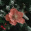 Glitter Magnolia Stem Floral Pick 1 piece 6