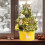 Mini Lighted Christmas Tree Green 18 inch 4