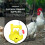Chicken water line regulator 1 pc 6