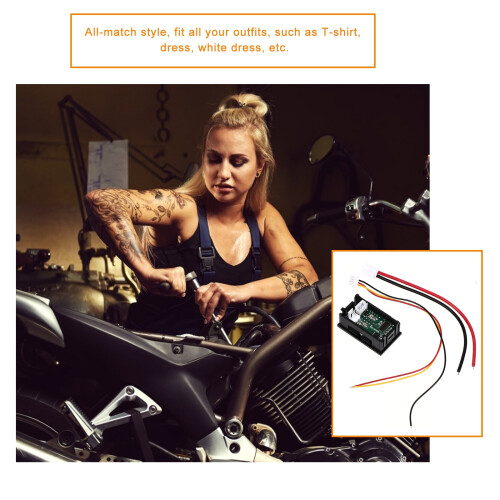 Μετρητής τάσης ρεύματος DC Mini100V1A10A50A100A με διπλή οθόνη LED 1