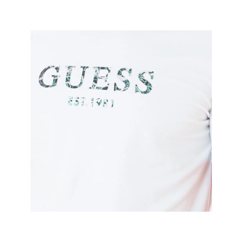 Guess (92, 701) EST 1981 1