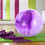 Pilates Mini Ball PVC Core Trainer 1 Piece 3