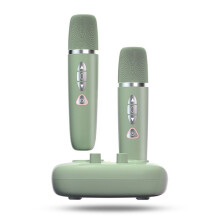 1 in 2 Home KTV Mixer Draadloze Microfoon Ruisonderdrukking Geluidskaart Microfoonsets Home Karaoke Artefact
