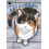 Cat Crazy Volume 2 by Susie Lee Paperback Book 1