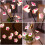 Table Tree Night Light USB/Battery Powered Touch  Artificial Bonsai Blossom Desktop Tree LED Lamp 2